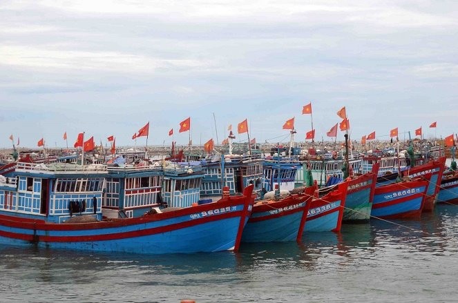 Đà Nẵng: Bí nơi neo đậu tàu cá vì vướng dự án
