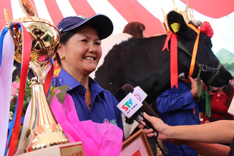 Nông dân hạnh phúc khi bò đăng quang "hoa hậu bò sữa", một hội thi tôn vinh người chăn nuôi và những con bò tốt nhất về các phẩm cấp tại Mộc Châu.