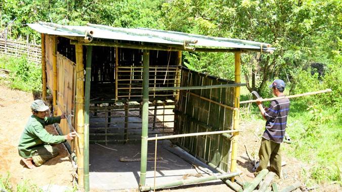 Được hướng dẫn, người dân vùng cao Nam Trà My đã biết cách dựng chuồng trại để chăn nuôi gia súc.