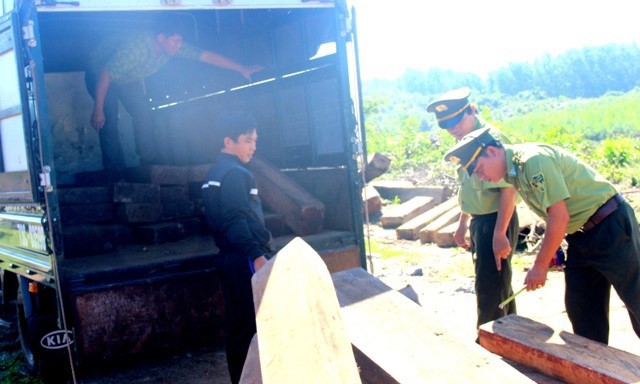 Lực lượng CSGT phát hiện trên thùng xe tải này chở 35 phach gỗ Gõ (gỗ quý nhóm 1) được che chắn tinh vi dưới các thùng nhựa đựng vỏ bia chai. Ảnh: Lao Động 