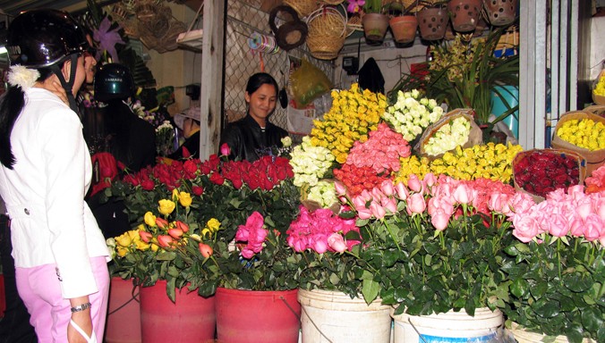 Hoa hồng Đà Lạt chủ yếu tiêu thụ nội địa.