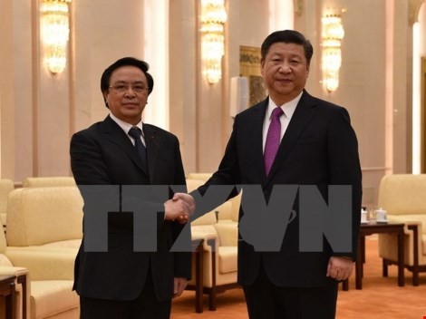 Trưởng ban Đối ngoại Trung ương Hoàng Bình Quân hội kiến với Tổng Bí thư, Chủ tịch Trung Quốc Tập Cận Bình. (Ảnh: Yến Kiên/TTXVN)