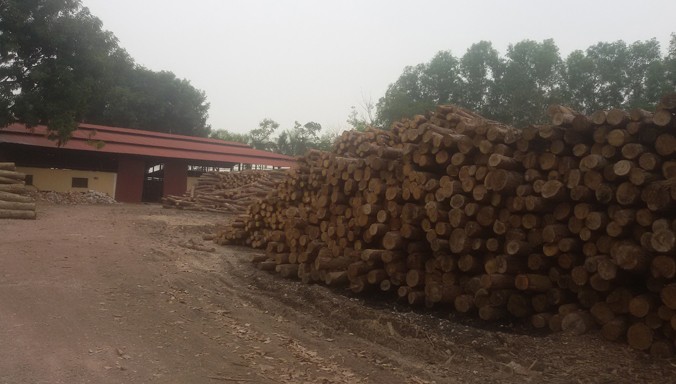 Khu đất nông nghiệp nay đã thành đất cơ sở sản xuất đồ gỗ.