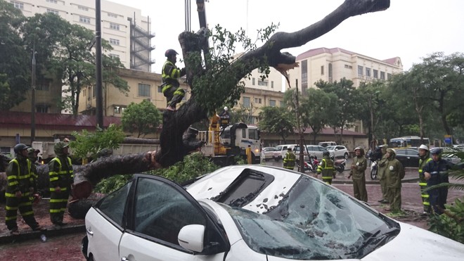 Gần 12 giờ trưa ngày 19/8, cây đổ trên đường Hai Bà Trưng - Hà Nội đè lên một chiếc ô tô đỗ trên vỉa hè. Ảnh: Như Ý