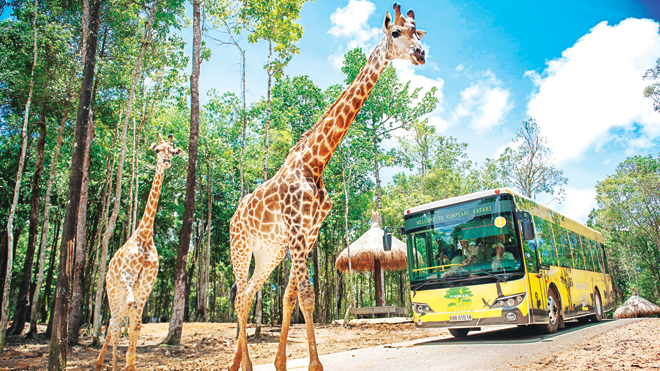 Vinpearl Safari - Công viên bảo tồn động vật bán hoang dã đầu tiên và duy nhất tại Việt Nam.