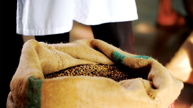 Cà phê sau khi thu hoạch thường được phối trộn với ngũ cốc hoặc phụ gia thực phẩm.
