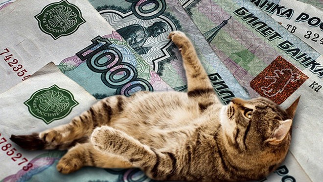 Mèo nhận lương 400 nghìn rúp/năm