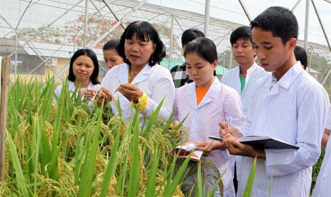 GS.TS Nguyễn Thị Lang đang hướng dẫn sinh viên