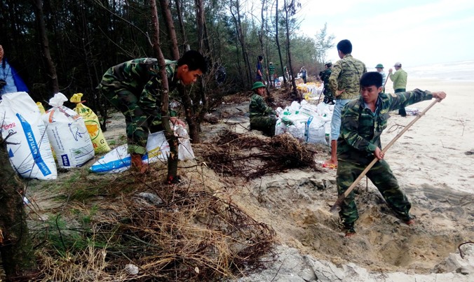 Bộ đội biên phòng hỗ trợ gia cố xử lý sạt lở bờ biển Vinh Hải. Ảnh: N. Văn