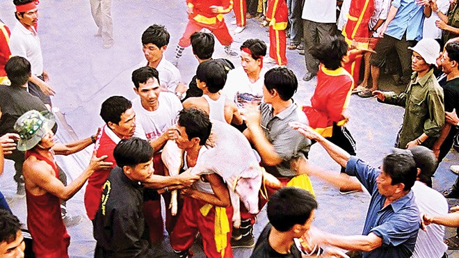 Cướp heo (Lễ hội Đổ giàn An Thái - Bình Định). Ảnh: Đào Tiến Đạt