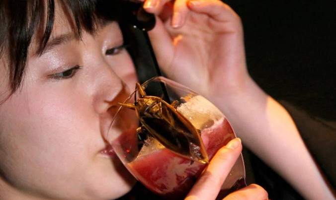 Một phụ nữ uống loại cocktail chứa dịch của côn trùng trong một quán bar ở Tokyo hôm 12/2. Ảnh: Getty Images