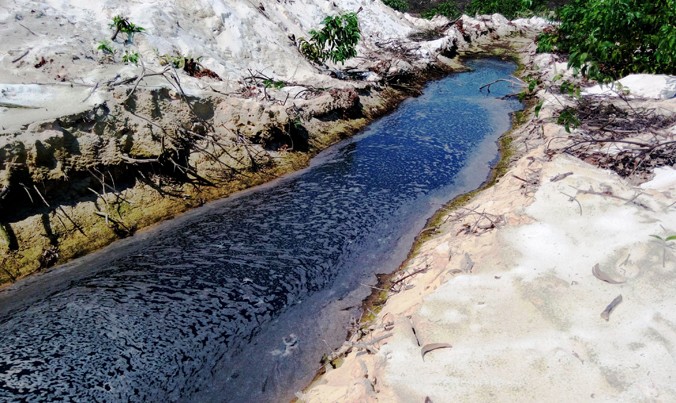 Nước thải phân nặng mùi đen kịt, đầy ruồi nhặng bu bám, thuộc trại heo quy mô lớn của HTX Điền Hòa được xả ra môi trường tự nhiên.