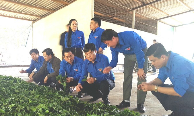 Anh Lê Quốc Phong cùng đoàn công tác thăm Nhà máy chế biến chè búp tươi thuộc Tổng đội thanh niên xung phong- xây dựng vùng kinh tế mới mới Tây Sơn. Ảnh: Quang Lộc
