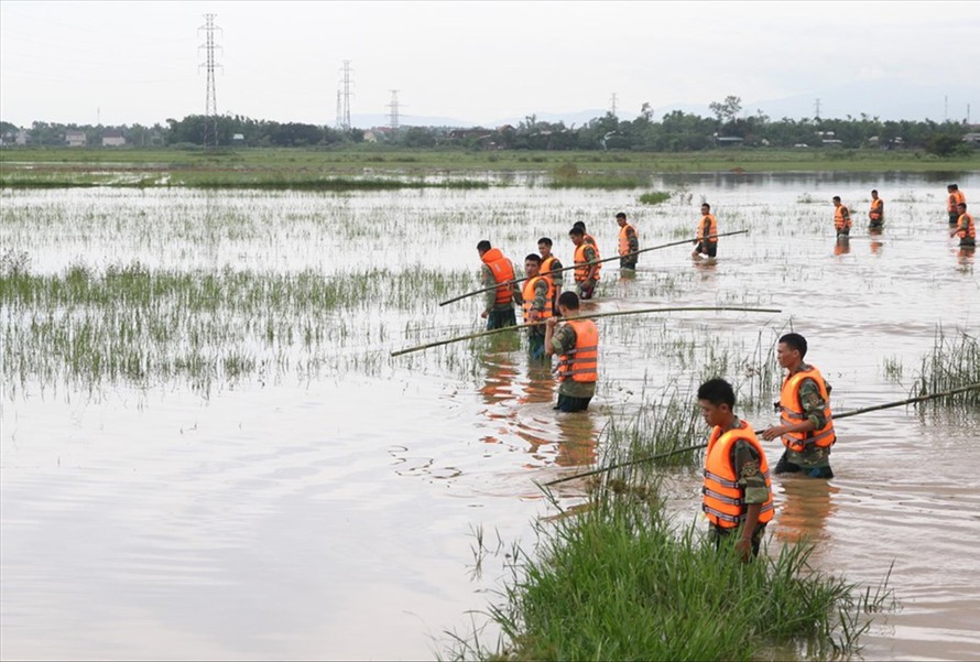 Bộ đội dàn hàng ngang trên cánh đồng để tìm kiếm nam sinh lớp 10 Lê Văn Sang bị nước cuốn mất tích. ẢNH: H.Thơ.