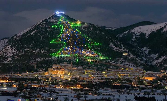 Cây thông Noel lớn nhất thế giới.