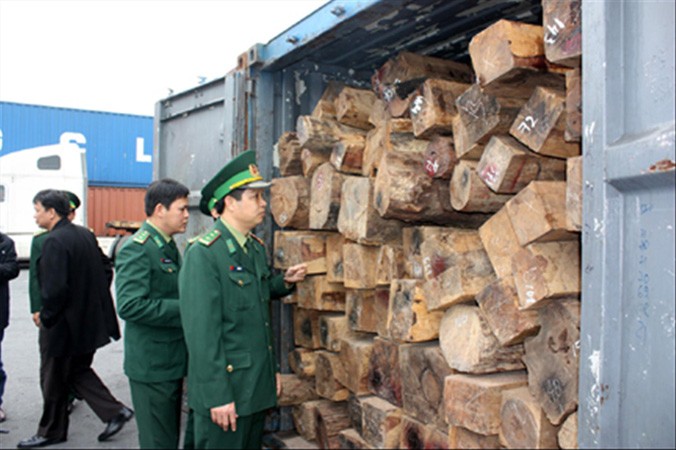 Cơ quan chức năng kiểm tra gỗ nhập khẩu. Ảnh: minh họa.
