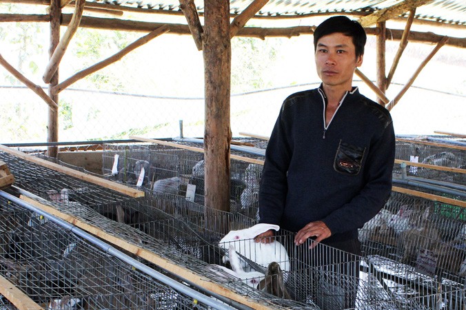 Anh Nguyễn Văn Dũng giàu kinh nghiệm nuôi thỏ.