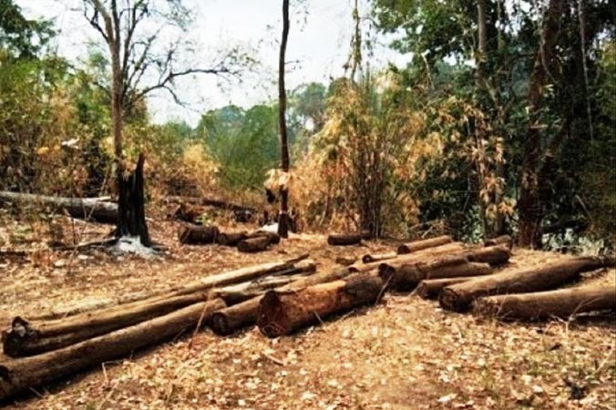 Hiện trường phá rừng mới phát hiện ngày 5/3.