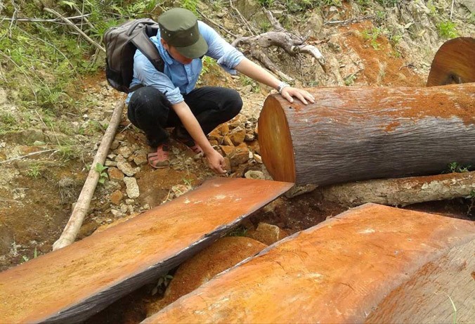 Hiện trường rừng đặc dụng Sông Thanh bị tàn sát.