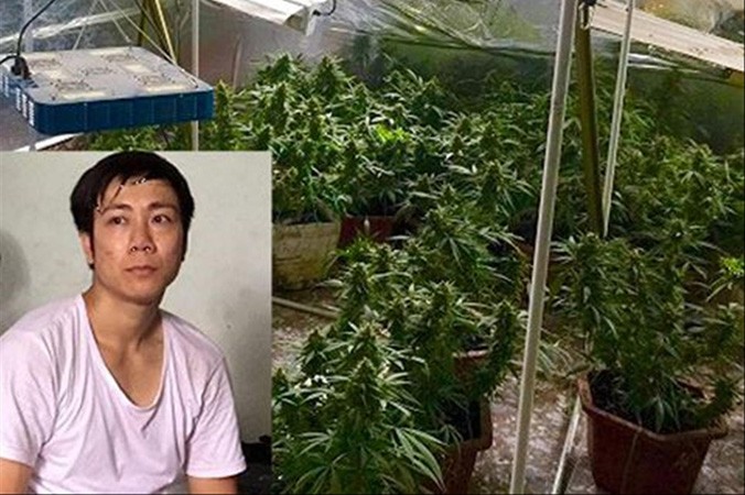 Đỗ Xuân Hiếu (29 tuổi), trú tại phường Hùng Vương, quận Hồng Bàng, TP Hải Phòng vừa bị công an bắt giữ vì truyền đạo trái phép và trồng cần sa.