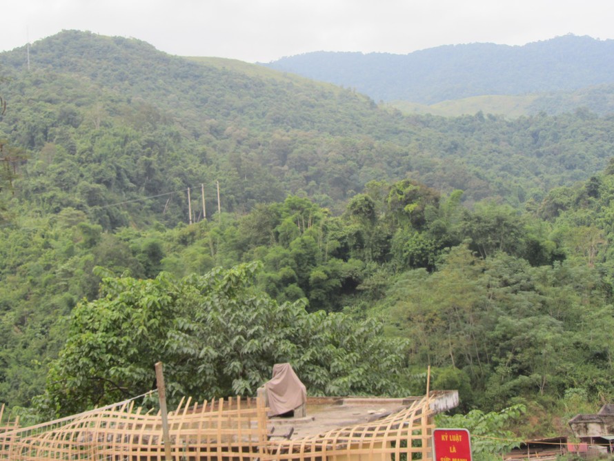 Diện tích rừng tự nhiên, rừng đặc dụng sẽ bị ảnh hưởng nếu dự án thủy điện Tiền Phong triển khai