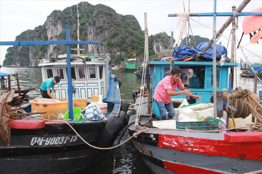 Ngư dân Quảng Ninh gấp rút ứng phó bão số 3