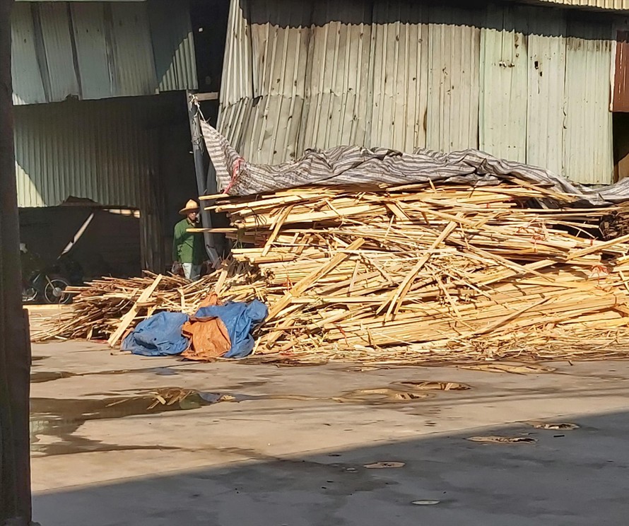 Nguyên vật liệu được tập kết về để sản xuất gỗ ép