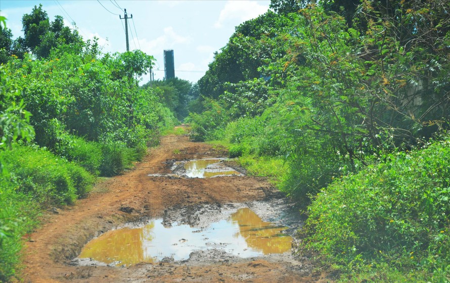 Lối mòn vào TTĐDNCC tỉnh Đắk Lắk vẫn lầy lội sau nhiều ngày nắng 