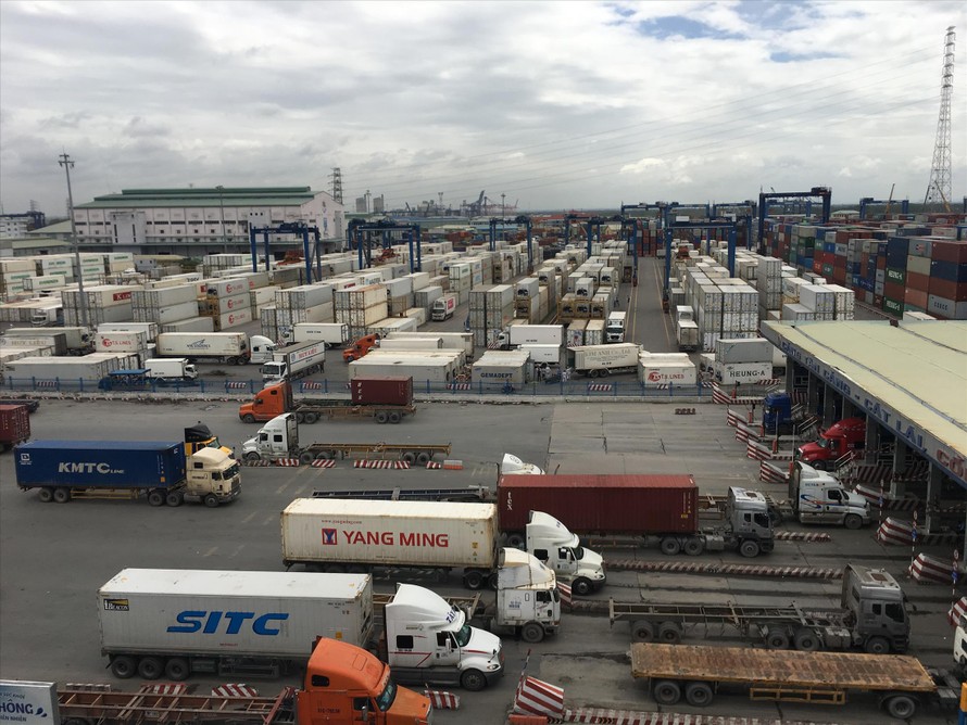 Cảng Cát Lái ùn ứ nghiêm trọng vì hàng loạt container phế liệu phải tái xuất nhưng chưa được xử lý dứt điểm. Ảnh: Tuấn Nguyễn 