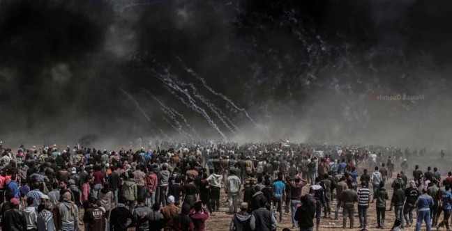 59 người Palestine thiệt mạng, 2.700 người bị thương trong đợt biểu tình phản đối hôm 14.5 