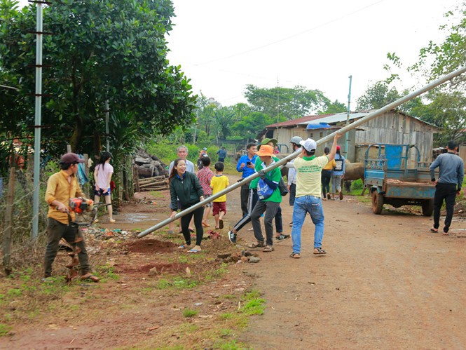 Sinh viên tiình nguyện chung tay dựng đèn đường làng.