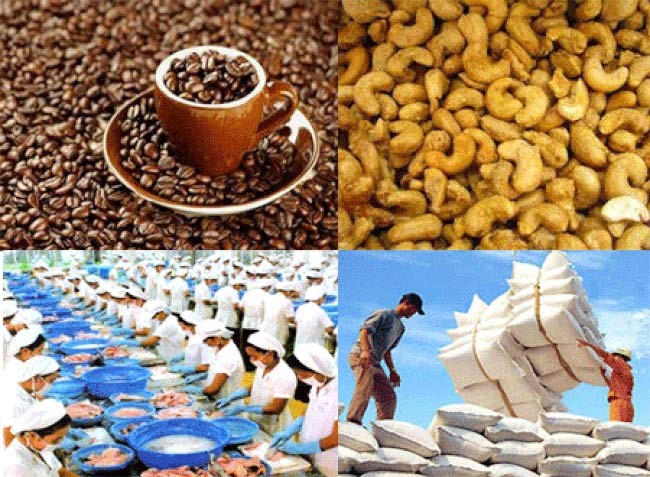 Xuất khẩu nông sản sang EU: Doanh nghiệp Việt phải nâng cao giá trị