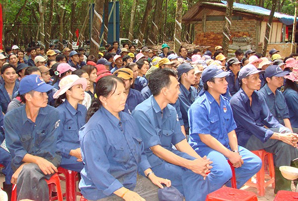 Gần 1,5 triệu lao động không về quê đón Tết