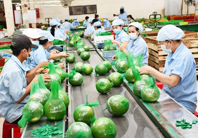 4 tháng, xuất khẩu nông sản Việt Nam đạt hơn 17 tỷ USD 