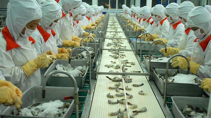 Cảng Trung Quốc tạm dừng nhập khẩu thực phẩm đông lạnh từ Việt Nam