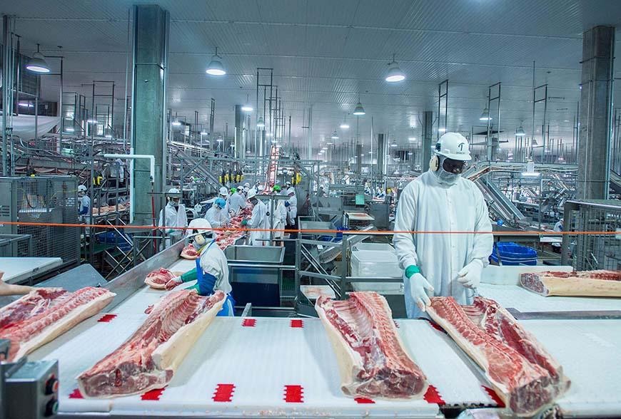 Giá lợn hơi giảm sâu kỷ lục, Việt Nam vẫn ồ ạt nhập thịt ngoại