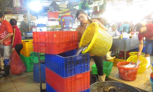 Chị Trịnh Thị Hiếu 40 tuổi, có hơn chục năm kéo cá thuê ở chợ Bình Điền