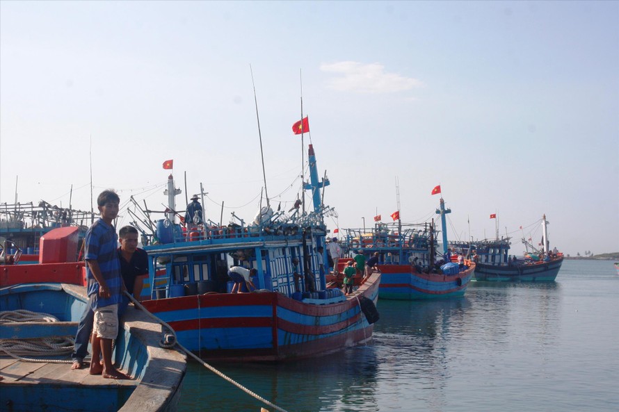 Để tàu cá, ngư dân tiếp tục vi phạm ở vùng biển nước ngoài, lãnh đạo địa phương sẽ bị xử lý 