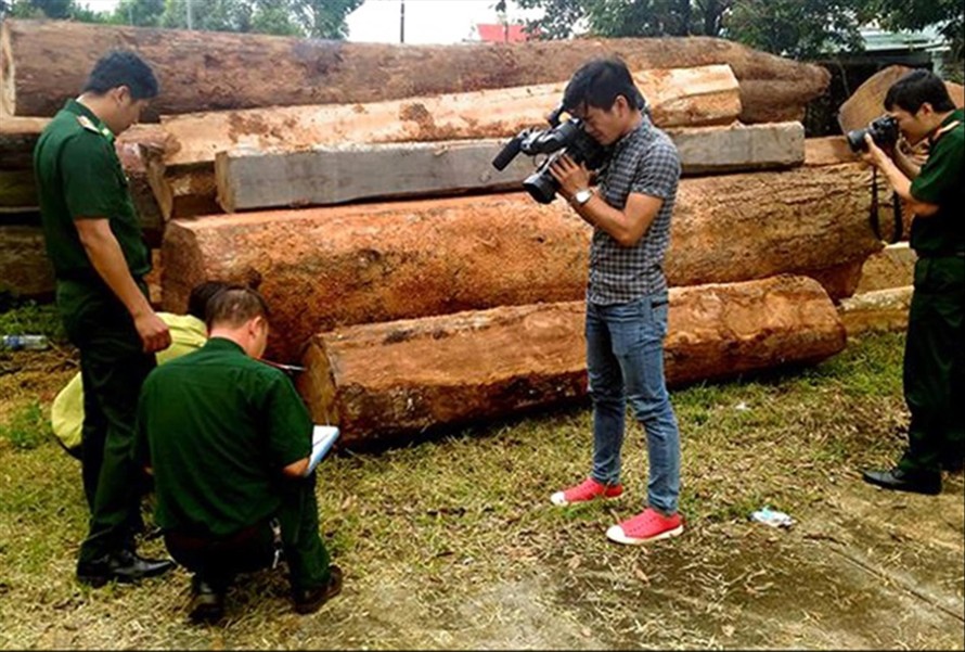 Lực lượng chức năng đo đếm khối lượng gỗ bị cướp năm 2016 
