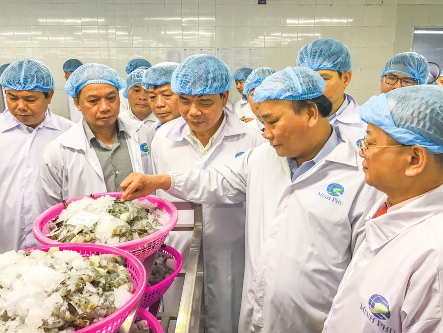 Thủ tướng Nguyễn Xuân Phúc thăm Tập đoàn Minh Phú-Doanh nghiệp xuất khẩu tôm lớn nhất Việt Nam và hàng đầu thế giới