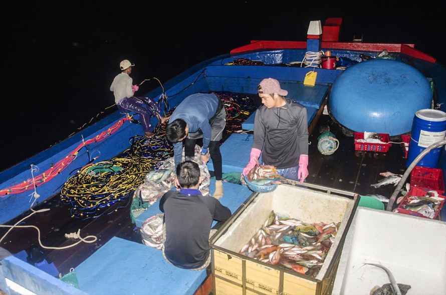 Một phiên đánh cá đêm của ngư dân xóm Ghành Cả tại đảo Xà Cừ, quần đảo Hoàng Sa. Ảnh: Văn Chương