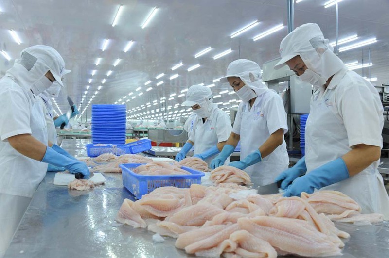Trung Quốc siết nhập cá tra, doanh nghiệp Việt tránh chào giá thấp
