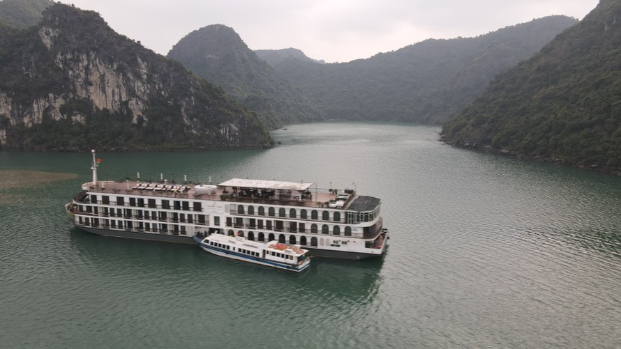 Cơ hội nghỉ dưỡng du thuyền quốc tế hạng sang, giá ưu đãi cho người Việt 