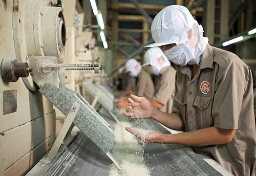 Kiểm tra chất lượng gạo Việt Nam phục vụ xuất khẩu gạo. Ảnh: DNVN