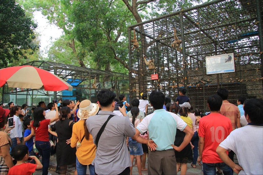 Vườn thú Hà Nội những ngày nghỉ lễ 