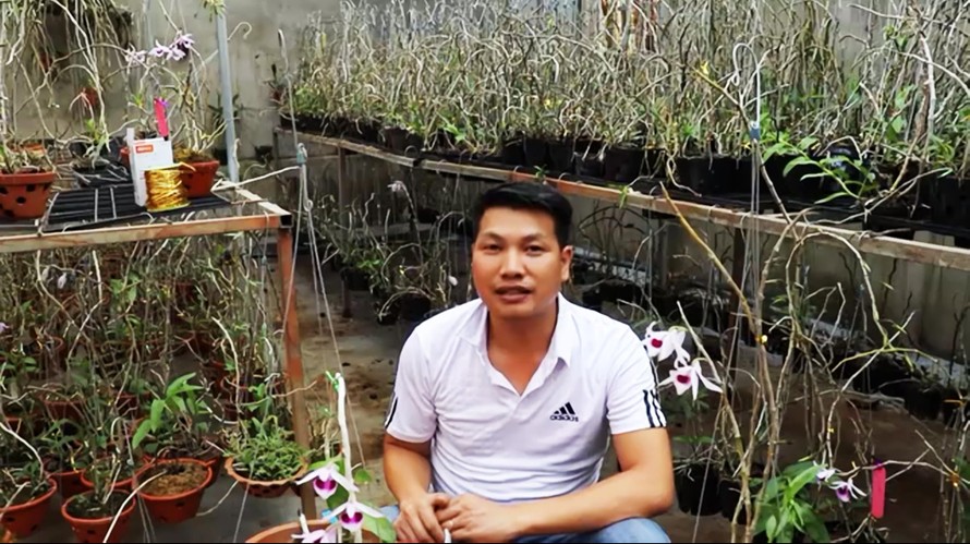 Anh Quốc Tư livestream hướng dẫn cách chăm sóc hoa lan 