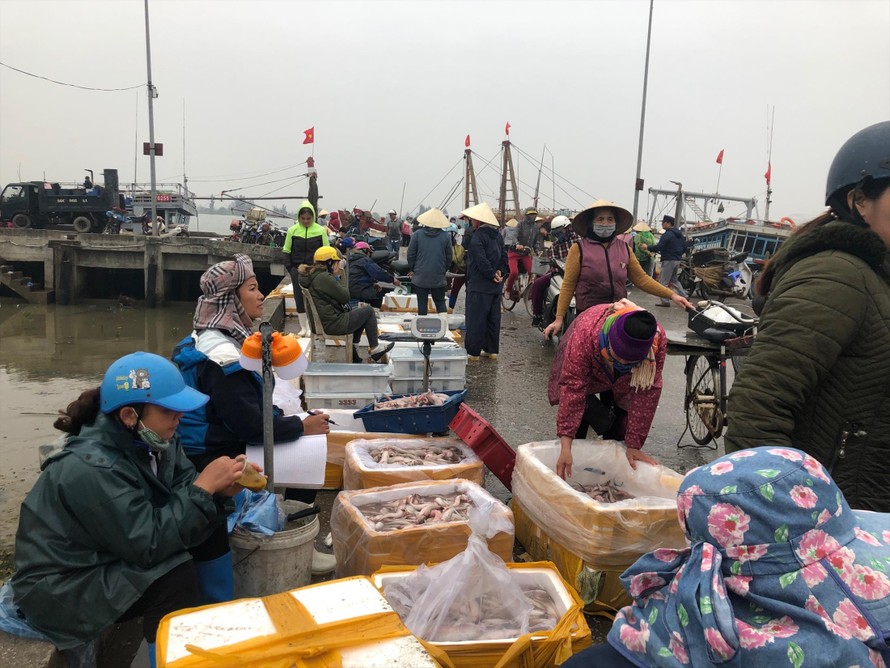 Ngư dân và thương lái bán cá tại Cảng cá Lạch Hới