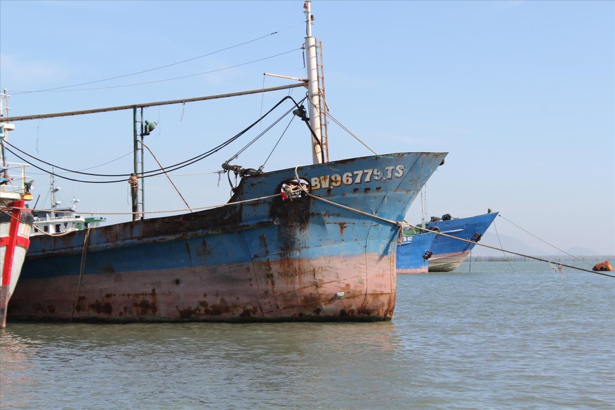 Tàu cá của ngư dân Phạm Ngọc Hoàng phải nằm bờ vì chất lượng tàu kém 