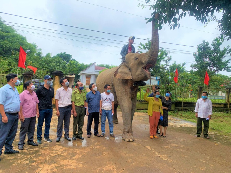 Khăm Phanh tạm biệt gia chủ trước khi lên đường về Trung tâm bảo tồn voi Đắk Lắk