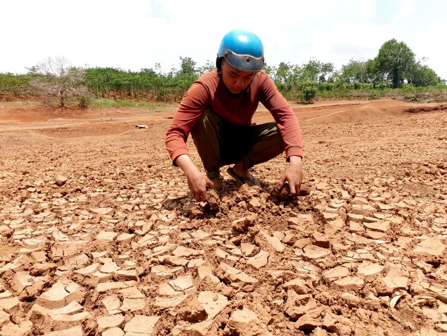 Người dân Đắk Lắk tìm nước giữa đại hạn